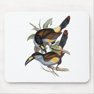 Bord-naveloptoubus Muismat