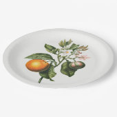 Bord PAPIER: BITTER ORANJE BLOSSOM (Gekanteld)