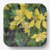 Bord PAPIER MET NATUUR BESCHERMINGSBERICHT (Voorkant)