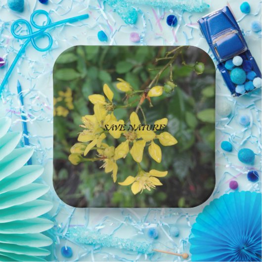 Bord PAPIER MET NATUUR BESCHERMINGSBERICHT (Feest)