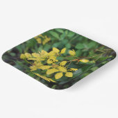 Bord PAPIER MET NATUUR BESCHERMINGSBERICHT (Gebogen)