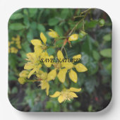 Bord PAPIER MET NATUUR BESCHERMINGSBERICHT (Voorkant)