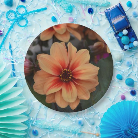 Bord perkamentkarton (Feest)