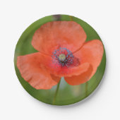 Bord rood Papier (Voorkant)