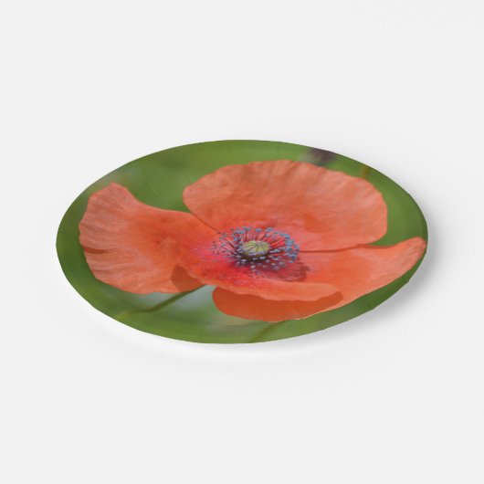 Bord rood Papier (Gekanteld)