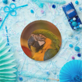 Bord rotatiepersen (Feest)