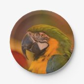 Bord rotatiepersen (Voorkant)