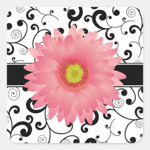Bord Roze Gerbera Daisy Zwart Scroll Design Seal Vierkante Sticker
