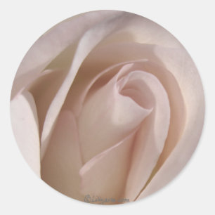 Bord Roze Roze Bruiloft Uitnodigingszegel Ronde Sticker