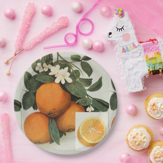 BORD sinaasappels (Feest)