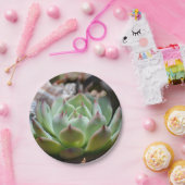 Bord Succulent papier (Feest)