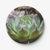 Bord Succulent papier (Voorkant)