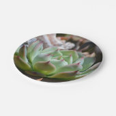 Bord Succulent papier (Gekanteld)