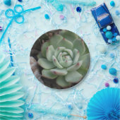 Bord Succulent papier (Feest)