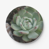 Bord Succulent papier (Voorkant)