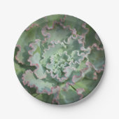 Bord Succulent papier (Voorkant)
