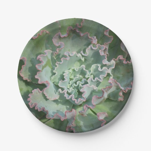 Bord Succulent papier (Voorkant)