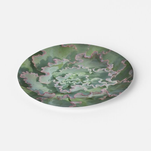 Bord Succulent papier (Gekanteld)