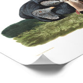 Bord van Audubon 106 Black Vulture Poster (Hoek)