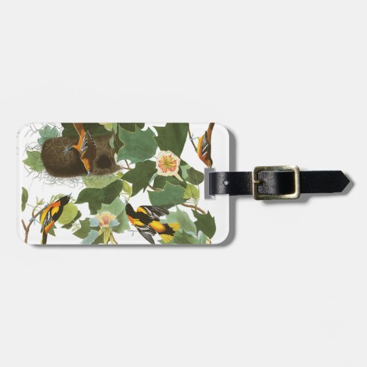 Bord van Audubon 12 Baltimore Oriole Bagagelabel (Voorkant horizontaal)