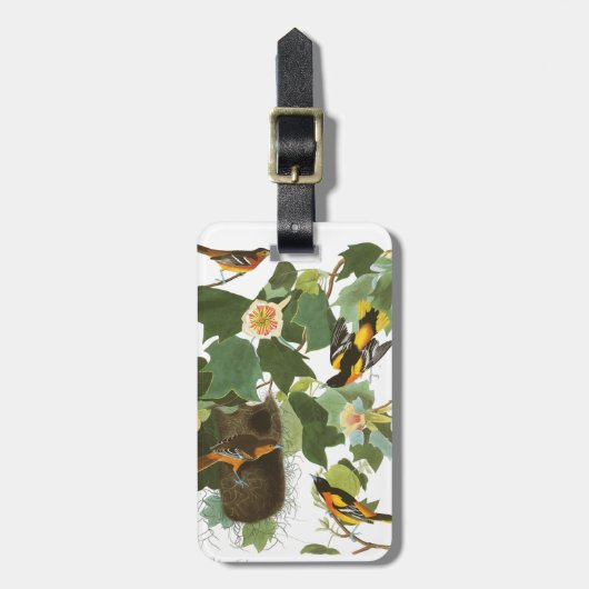 Bord van Audubon 12 Baltimore Oriole Bagagelabel (Voorkant verticaal)