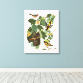 Bord van Audubon 12 Baltimore Oriole Canvas Afdruk (Insitu (Houten vloer))