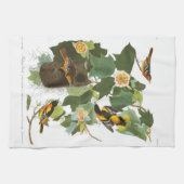 Bord van Audubon 12 Baltimore Oriole Theedoek (Horizontaal)