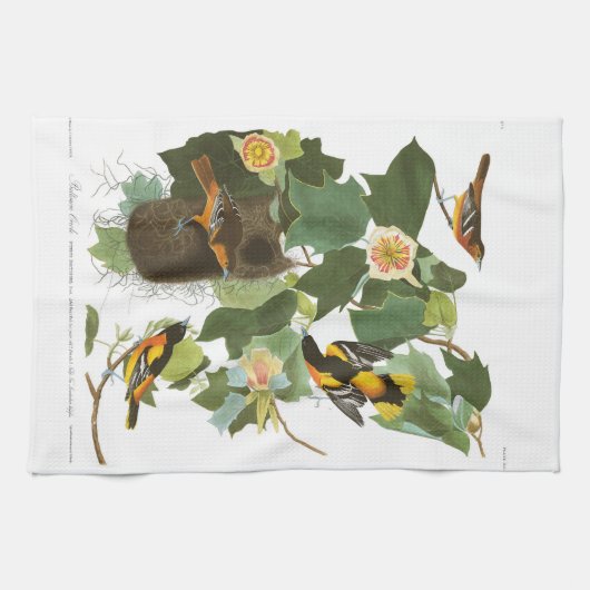 Bord van Audubon 12 Baltimore Oriole Theedoek (Horizontaal)