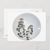 bord van de muur van kopenhagen briefkaart (Voorkant / Achterkant)