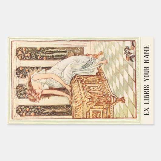 Bord van het boekje van Pandora Rechthoekige Sticker (Voorkant)