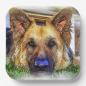 Bord van het Duitse Shepherd Paper (Voorkant)