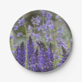 Bord van paars papier (Voorkant)