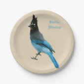 Bord van Stellar Blue Jay (Voorkant)
