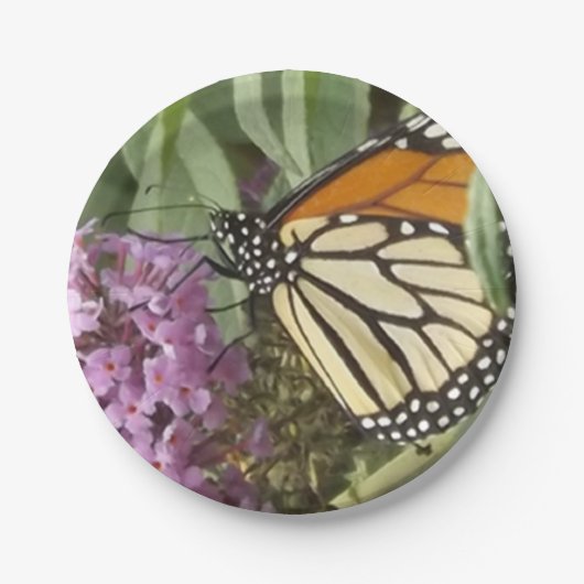 Bord van vlinderpapier (Voorkant)