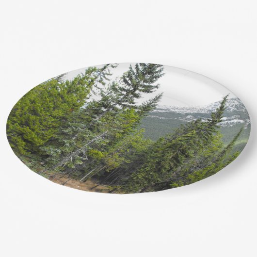 Bord van woud- en bergwetpapier (Gekanteld)