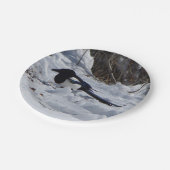 Bord van zwart geblazen Rocky Mountain Magpie-papi (Gekanteld)