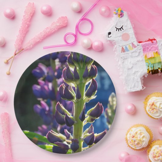 Bord voor bloembollen (Feest)