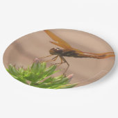 Bord voor liftpapier (Gekanteld)