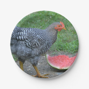 Bord voor van kippen- en watermeloenpapier