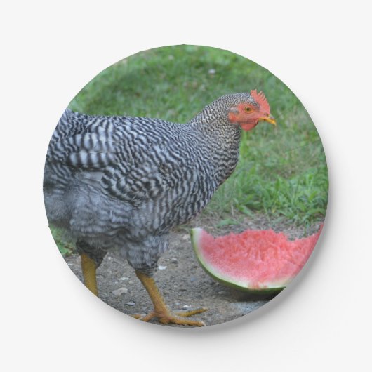 Bord voor  van kippen- en watermeloenpapier (Voorkant)