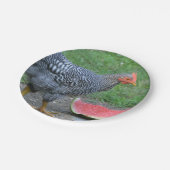 Bord voor  van kippen- en watermeloenpapier (Gekanteld)