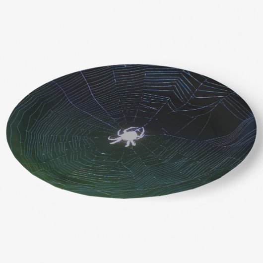 Bord voor weidespinpapier van Orb (Gekanteld)