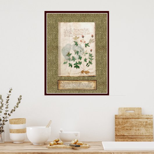 Bord Voynich 10 Poster (Keuken)