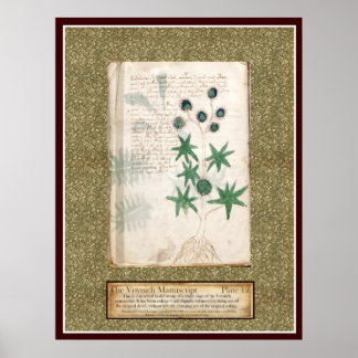 Bord Voynich 12 Poster