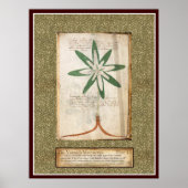 Bord Voynich 13 Poster (Voorkant)
