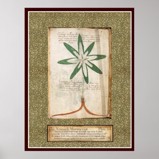 Bord Voynich 13 Poster (Voorkant)