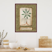 Bord Voynich 13 Poster (Keuken)