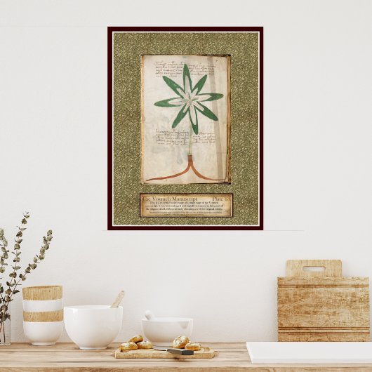 Bord Voynich 13 Poster (Keuken)