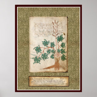 Bord Voynich 17 Poster
