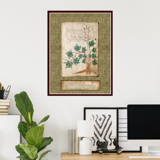 Bord Voynich 17 Poster (Thuiskantoor)